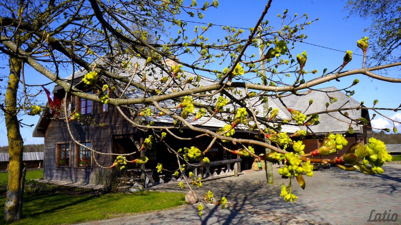 Cits — Jaunarāji, Jūrkalnes pagasts, Ventspils novads