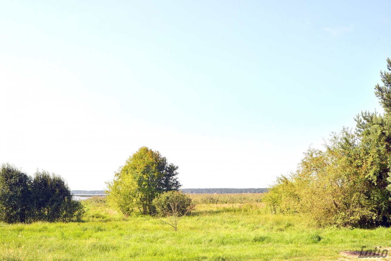 Zeme — Jaunciema gatve, Rīga, Jaunciems