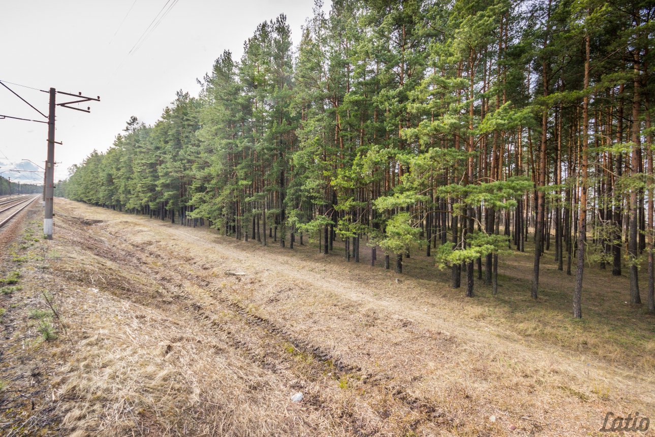 Zeme — Vecāķu prospekts, Rīga, Vecdaugava
