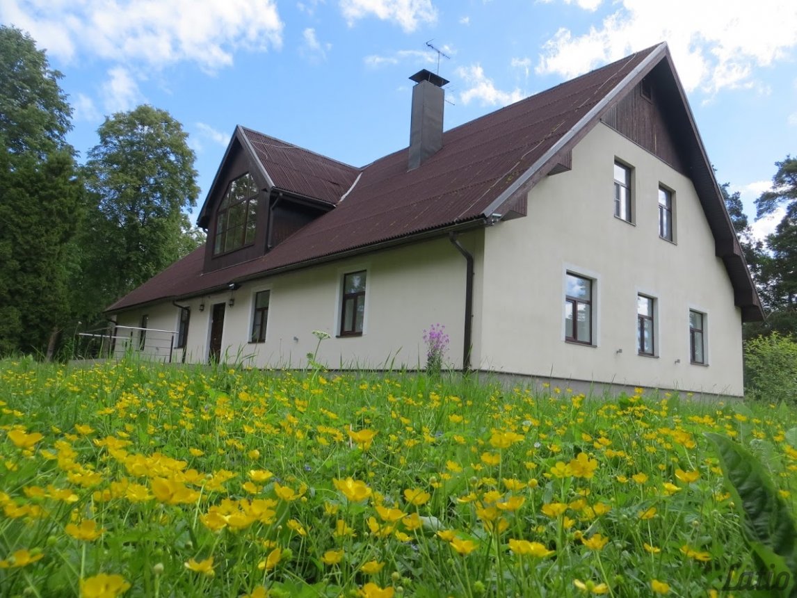 Cits — Lapsiņmuiža, Dzedri, Talsu novads